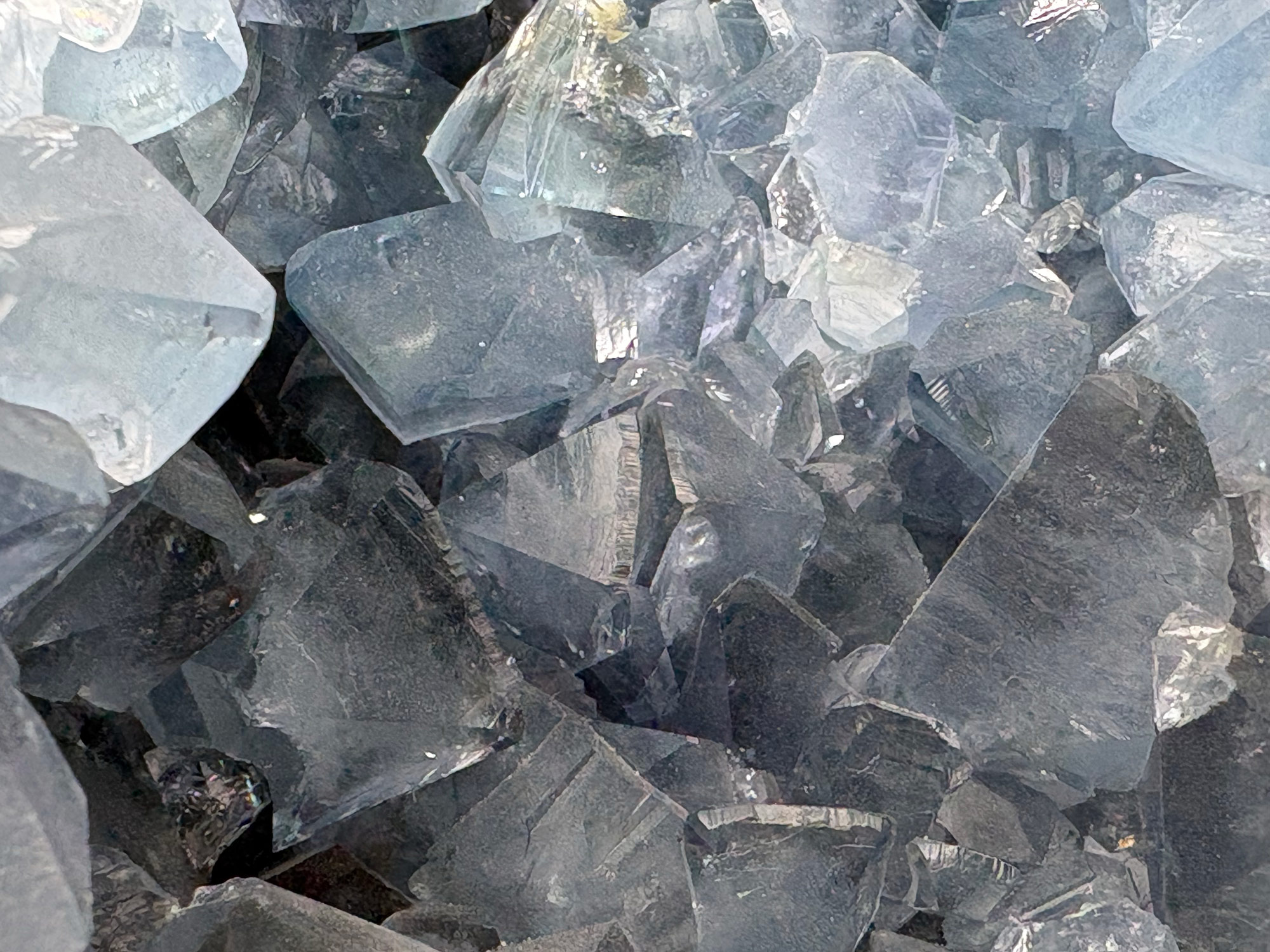 Célestine – Image 2