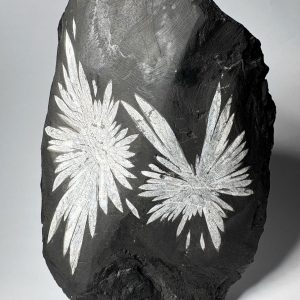 Pierre Chrysanthème