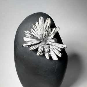 Pierre Chrysanthème