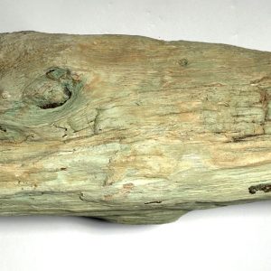 Bois silicifié vert