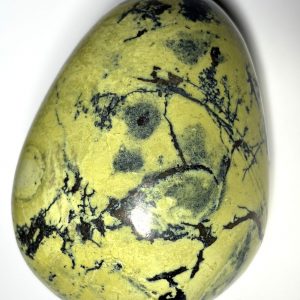 Serpentine Chita