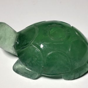 Tortue en Fluorine verte