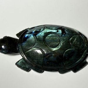 Tortue en Labradorite