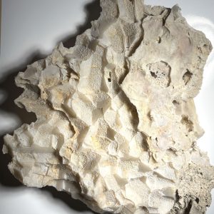 Pseudomorphoses de fluorine sur Quartz