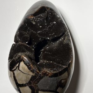 Septaria